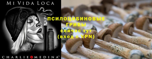 стафф Верхний Тагил