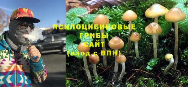 стафф Верхний Тагил