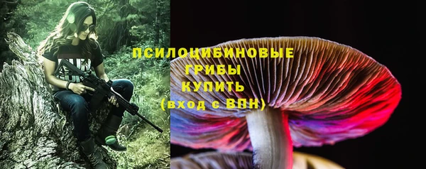 стафф Верхний Тагил