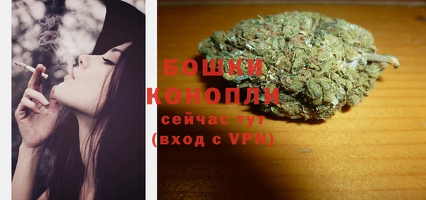 стафф Верхний Тагил