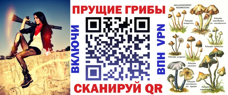 Галлюциногенные грибы Cubensis  где продают   Черепаново 
